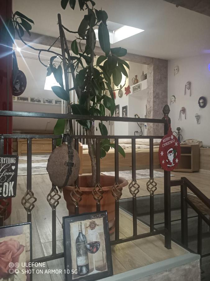 Casa Lucescu Vatra Dornei Exterior foto